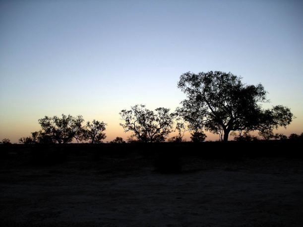 Resize of 09-20-2005 24 Dusk at Coopers Creek