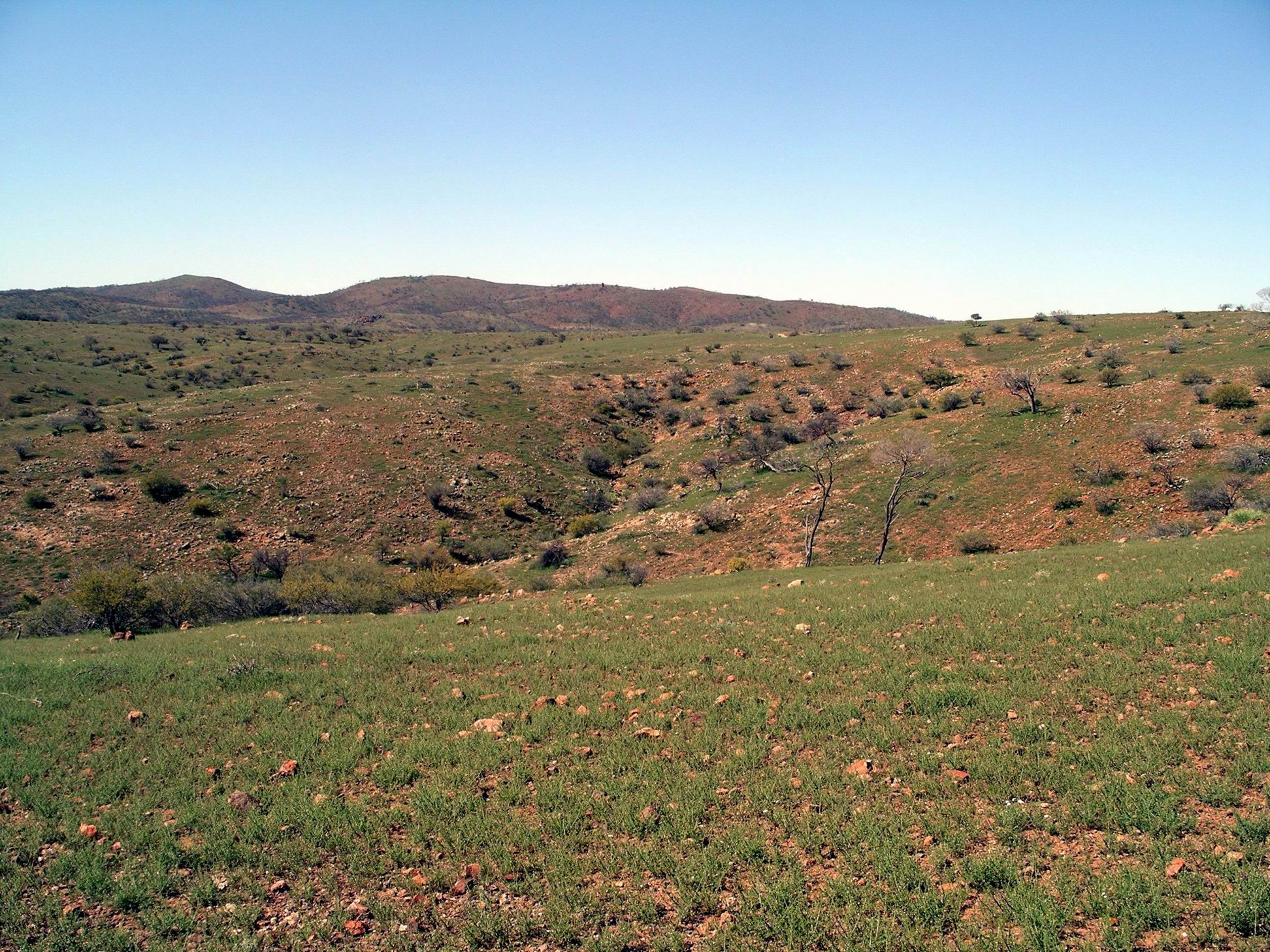 Resize of 09-23-2005 05 Day Dream Mine area