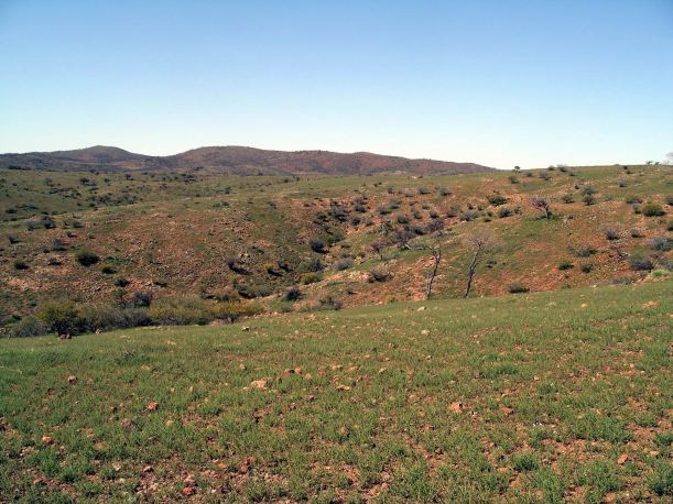 Resize of 09-23-2005 05 Day Dream Mine area