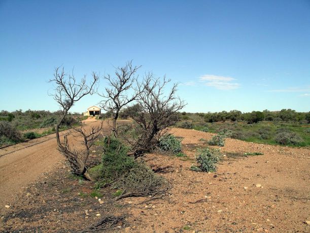 Resize of 09-30-2005 02 old station Silverton