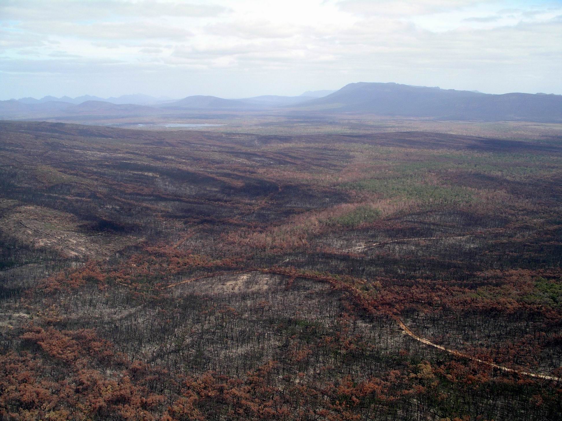 Resize of 04-02-2006 05 Grampians Fires20