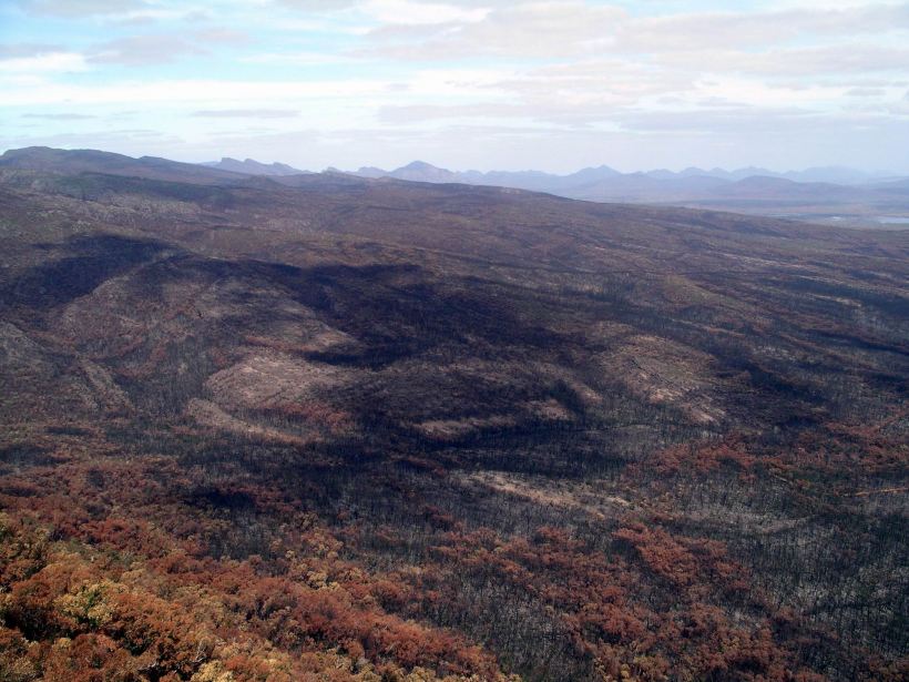 Resize of 04-02-2006 06 Grampians Fires21