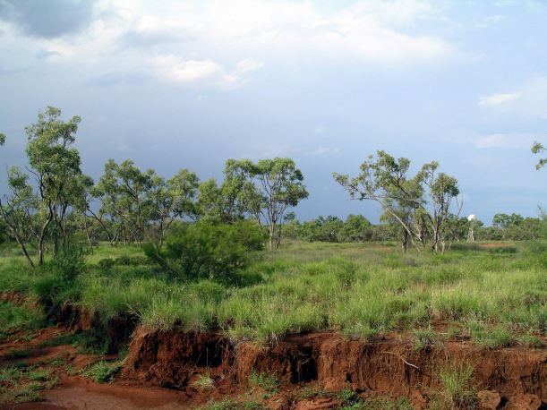 Resize of 04-13-2006 01 Mt Isa in wet