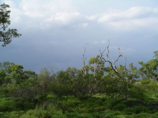 Resize of 04-13-2006 07 Mt Isa in wet7
