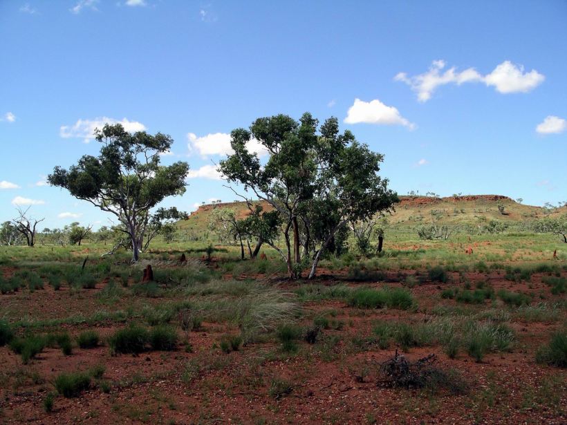 Resize of 04-16-2006 01 Thorntonia Station