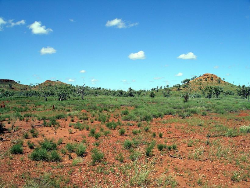 Resize of 04-16-2006 02 Thorntonia Station2