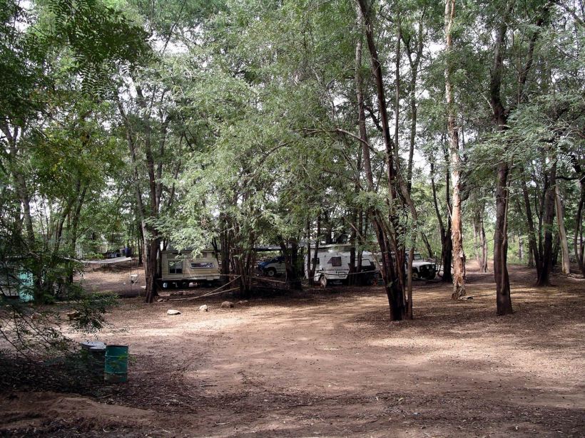 Resize of 04-19-2006 09 In the Grove9