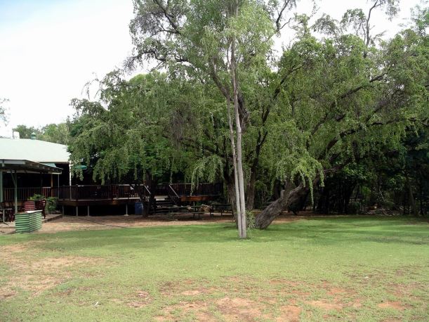 Resize of 04-19-2006 20 Grove from tent area