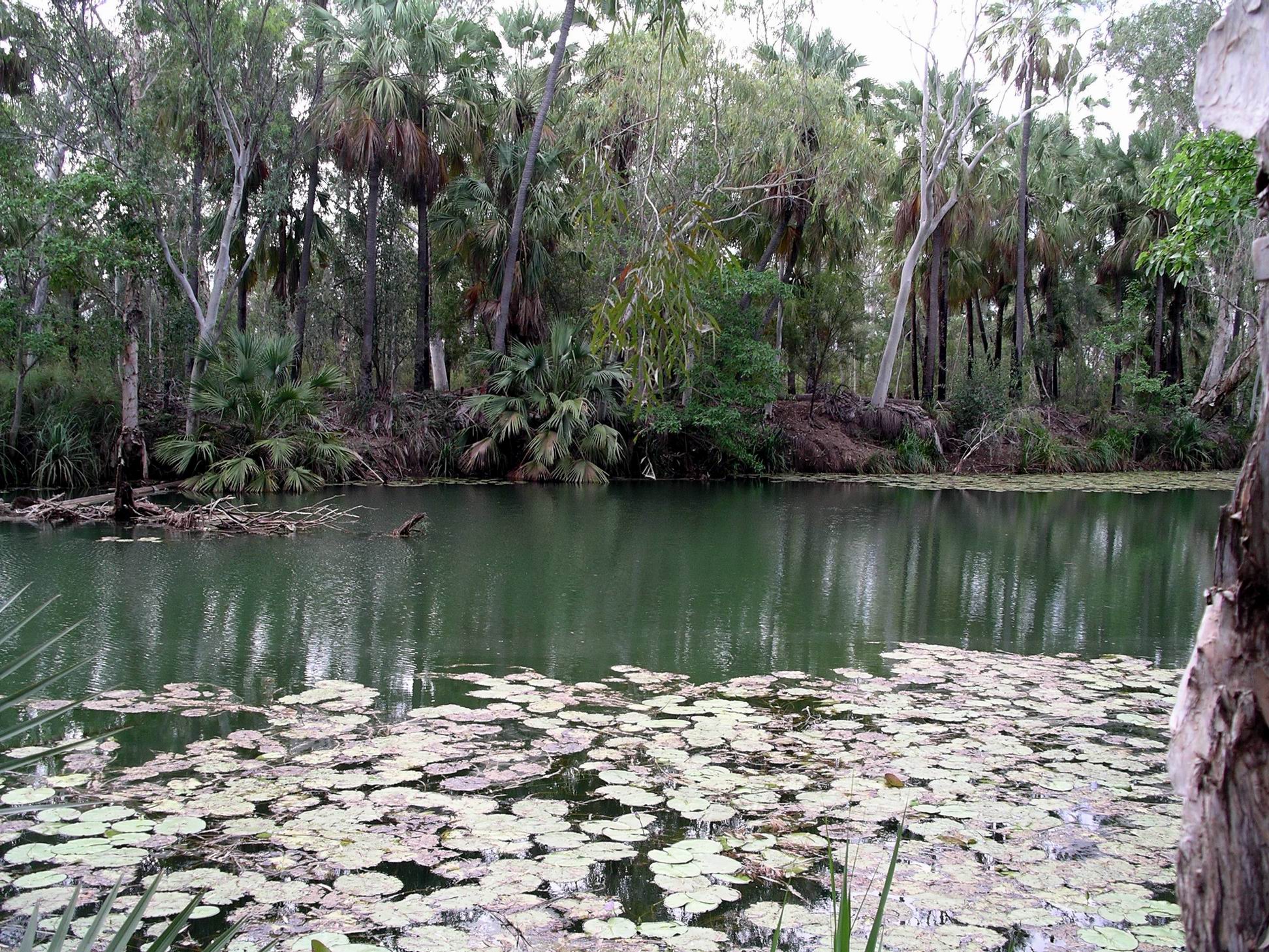 Resize of 04-26-2006 03 Grove Lawn Hill Creek7