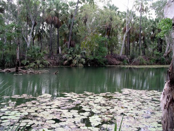 Resize of 04-26-2006 03 Grove Lawn Hill Creek7