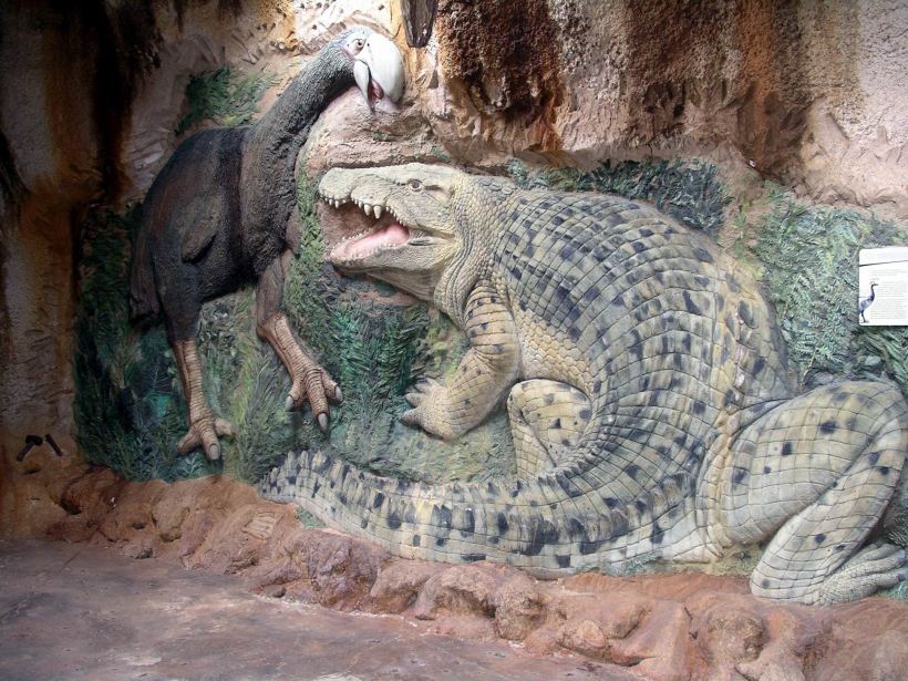 Resize of 04-27-2006 02 In Riversleigh shelter