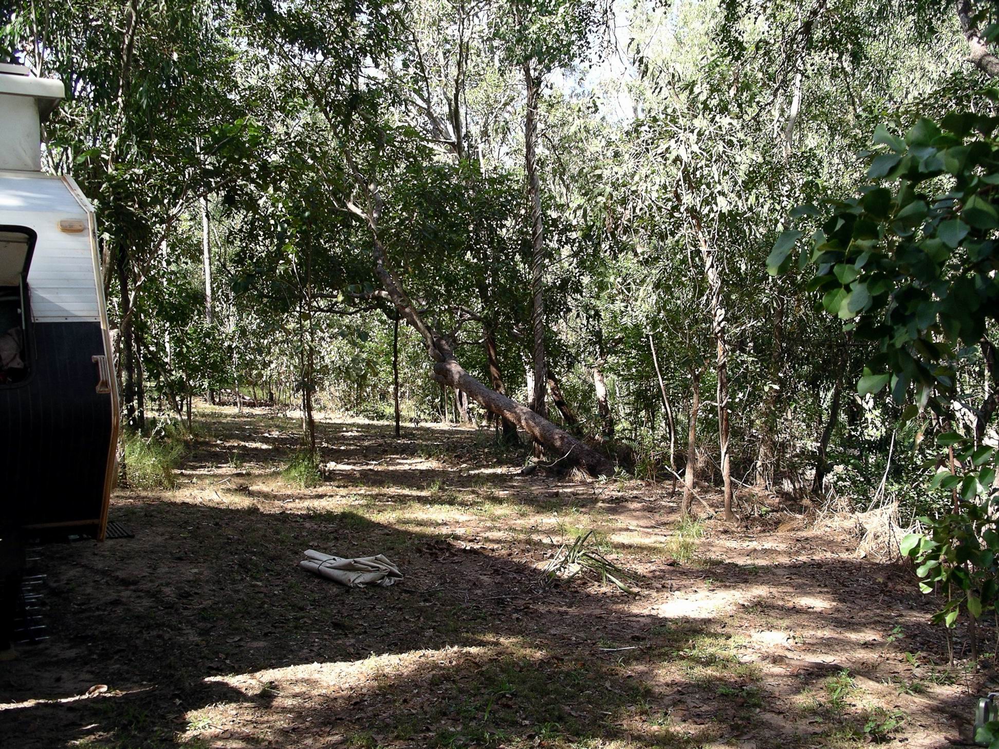 Resize of 05-02-2006 25 Arrival Monsoon7