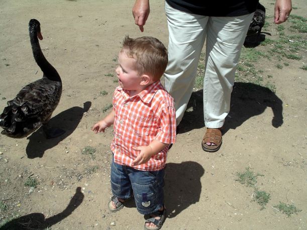 Resize of 2-20-2005 Aaron and swan