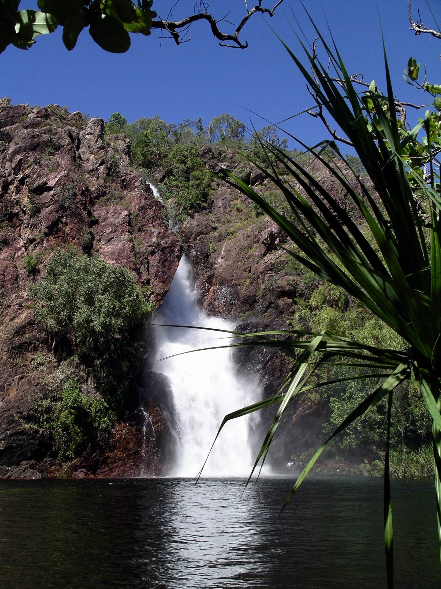 Resize of 05-02-2006 15 Litchfield Wangi Falls14