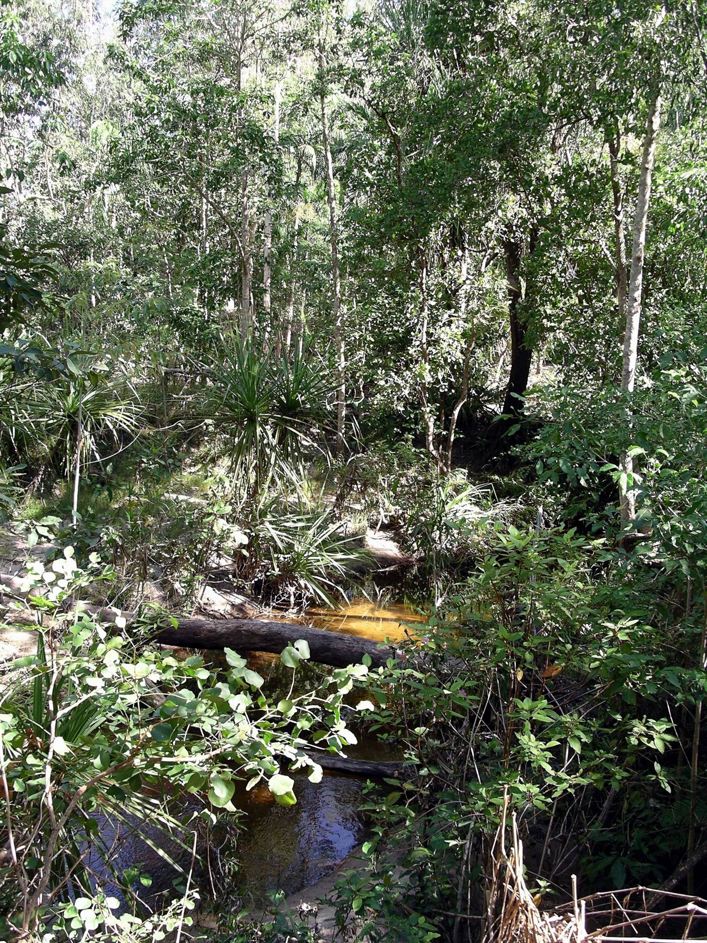 Resize of 05-02-2006 26 Arrival Monsoon8