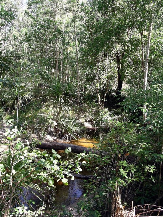 Resize of 05-02-2006 26 Arrival Monsoon8