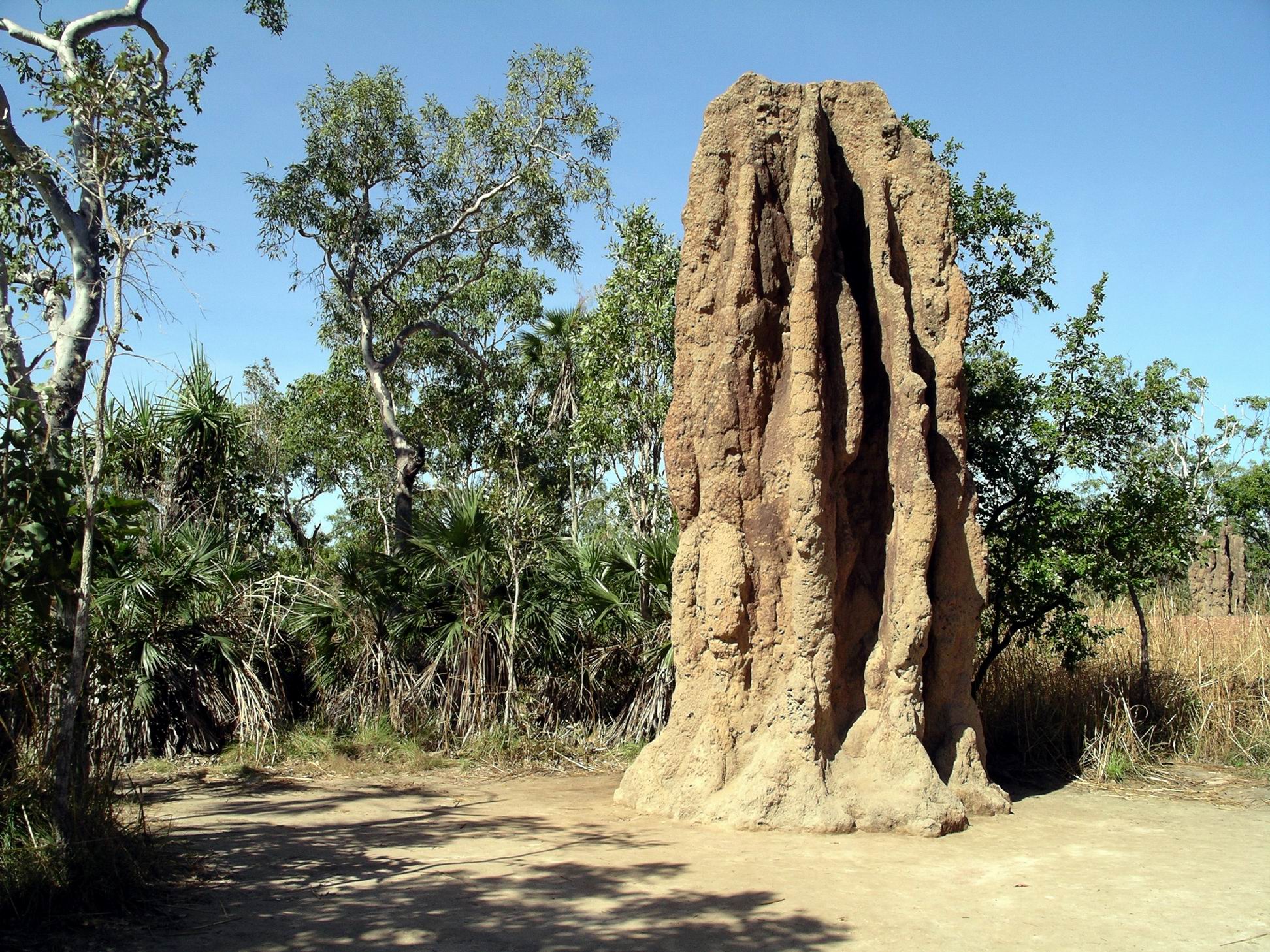 Resize of 05-16-2006 03 Cathedral termite mound Litchfield