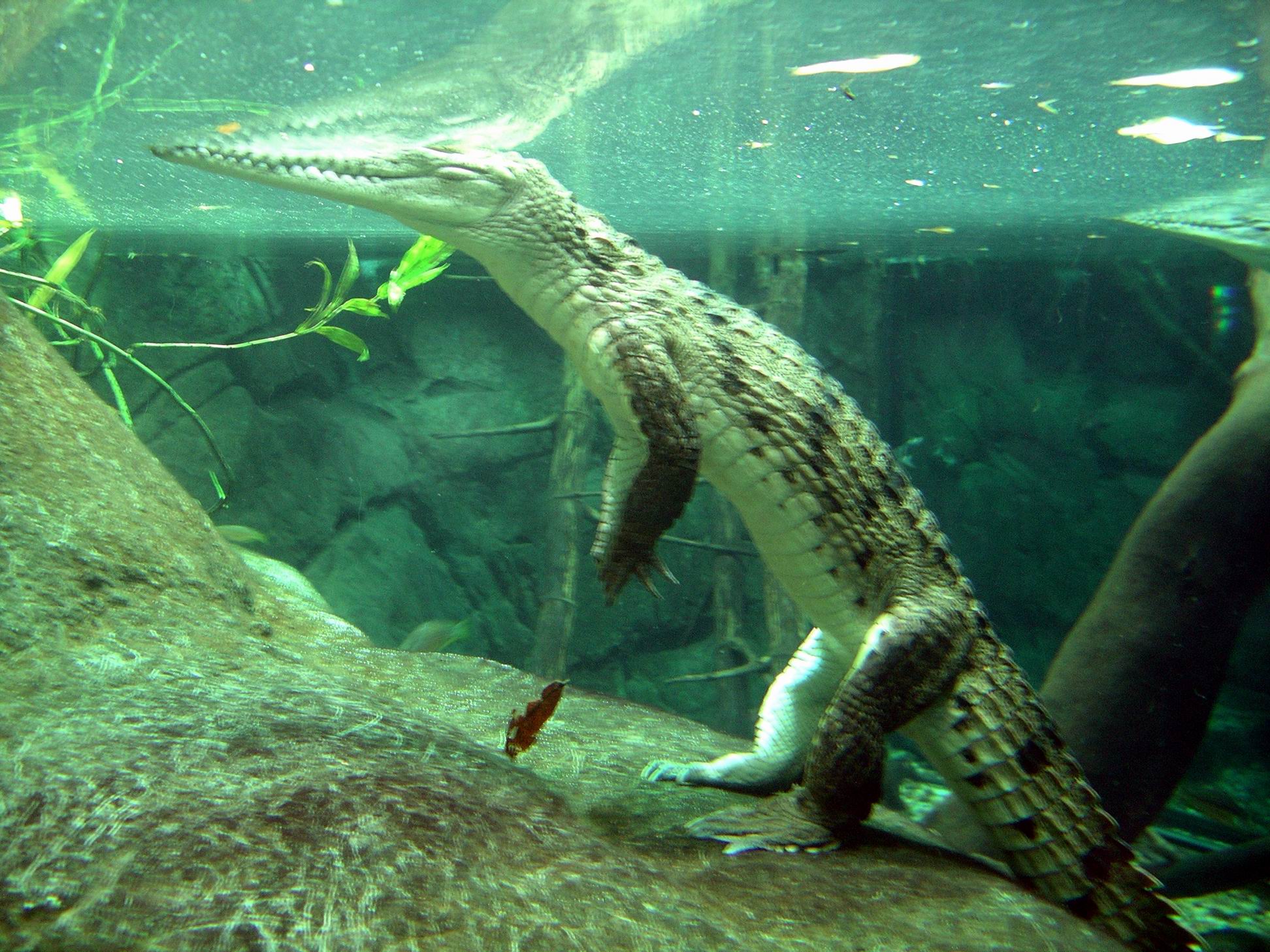 Resize of 05-31-2006 04 Freshie at TW Park 3