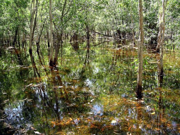 Resize of 05-31-2006 12 Lagoon study TW Park