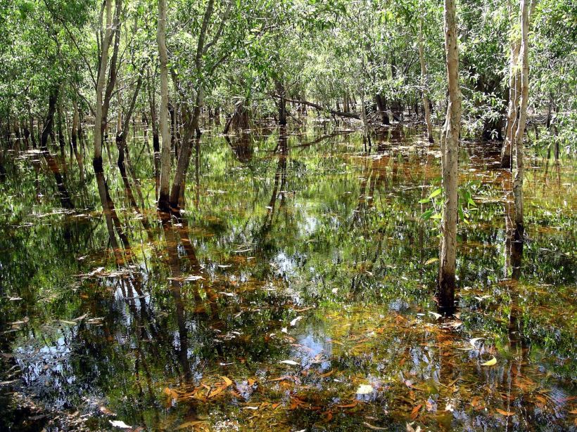 Resize of 05-31-2006 12 Lagoon study TW Park