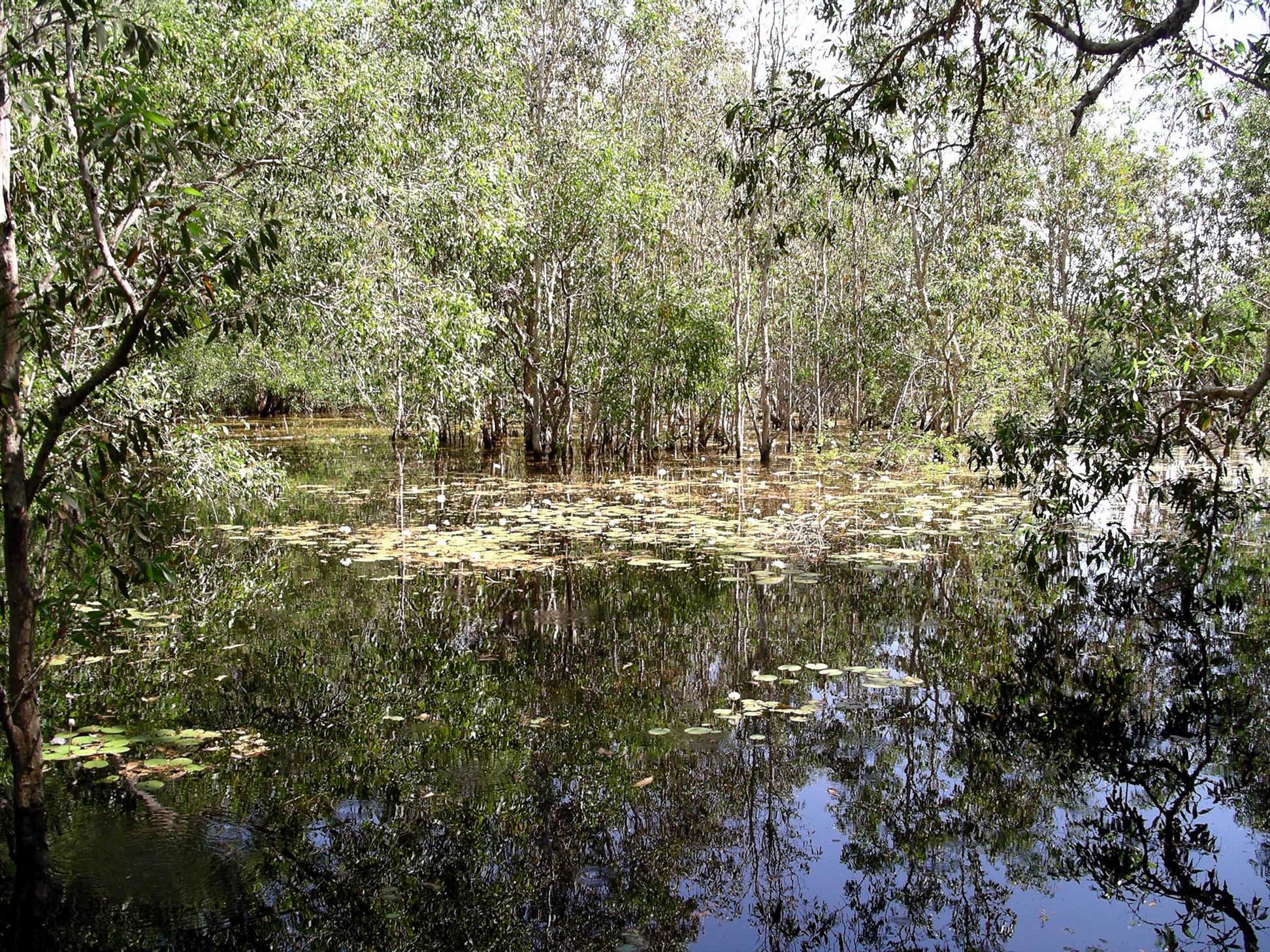 Resize of 05-31-2006 15 Lagoon study TW Park 4