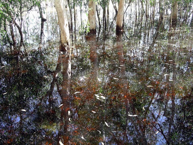 Resize of 05-31-2006 16 Lagoon study TW Park 5