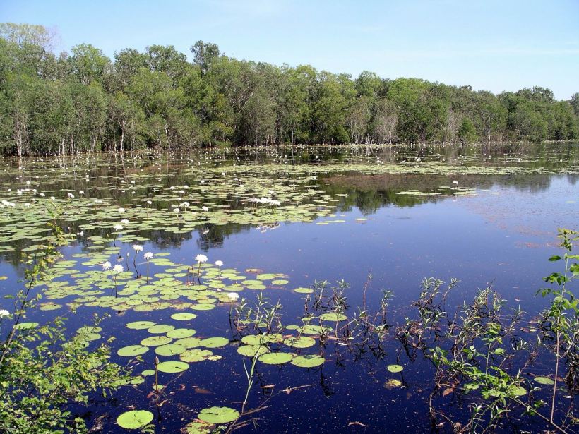 Resize of 05-31-2006 18 Billabong TW Park