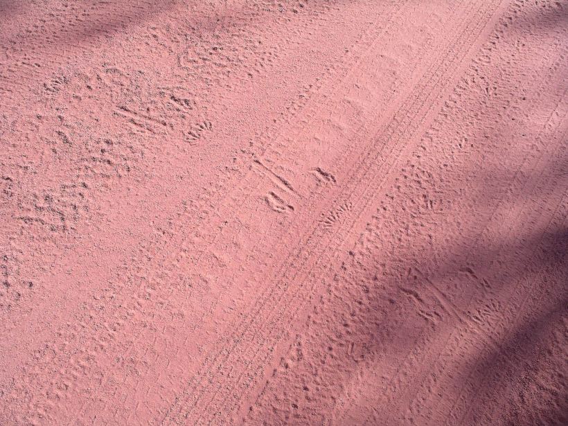 Resize of 06-14-2006 02 Tracks on road Monsoon