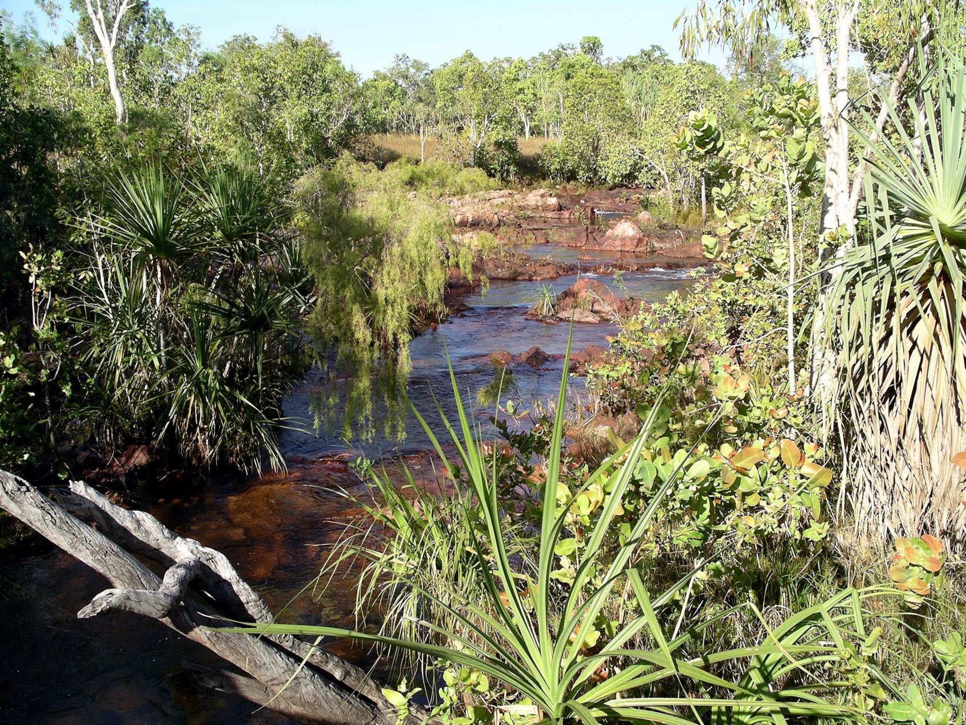 Resize of 06-14-2006 76 Wangi Creek