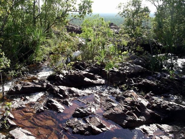 Resize of 06-14-2006 78 Wangi creek June 2