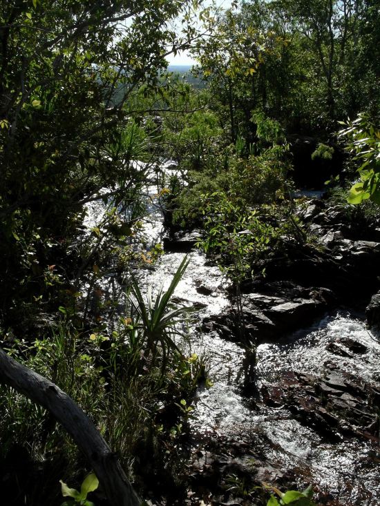 Resize of 06-14-2006 79 Wangi creek 8