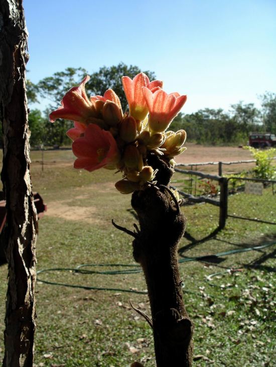 Resize of 06-22-2006 Kimberley Rose Monsoon Cafe