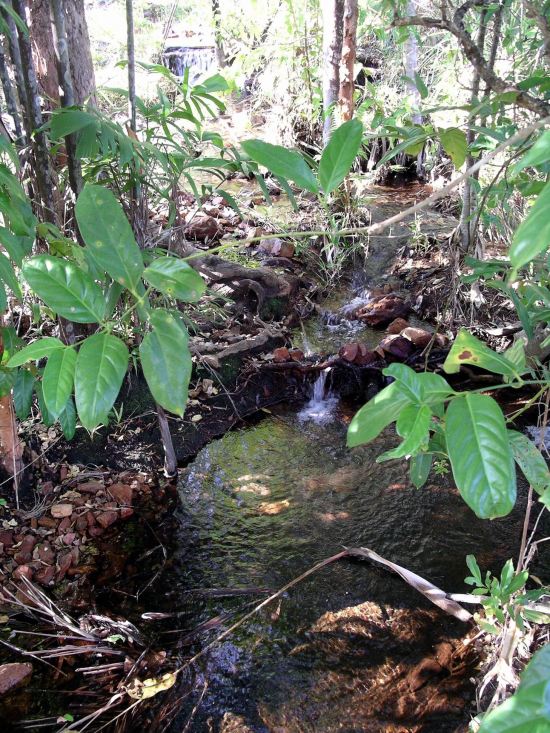 Resize of 06-14-2006 86 Wangi track June 2