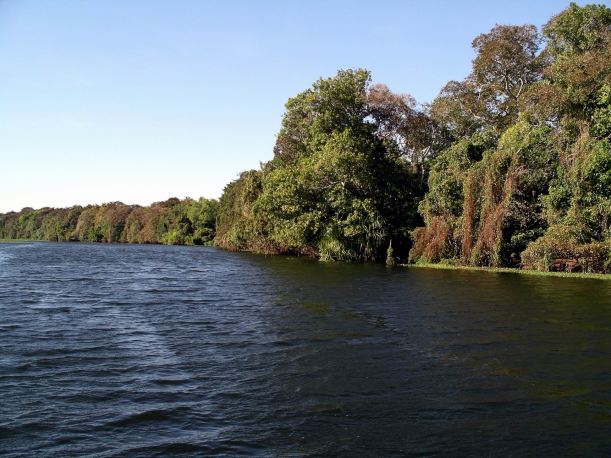 Resize of 07-18-2006 01 La Belle1