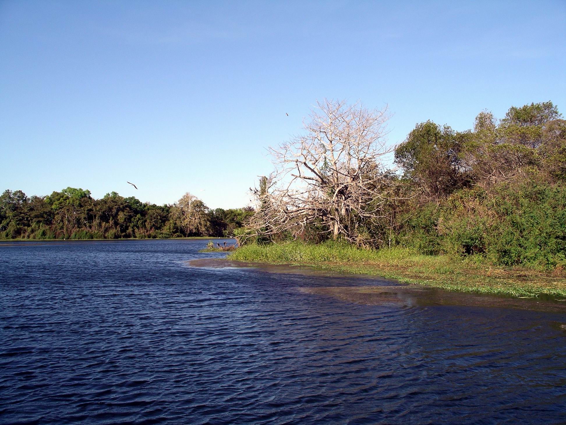 Resize of 07-18-2006 08 LaBelle8