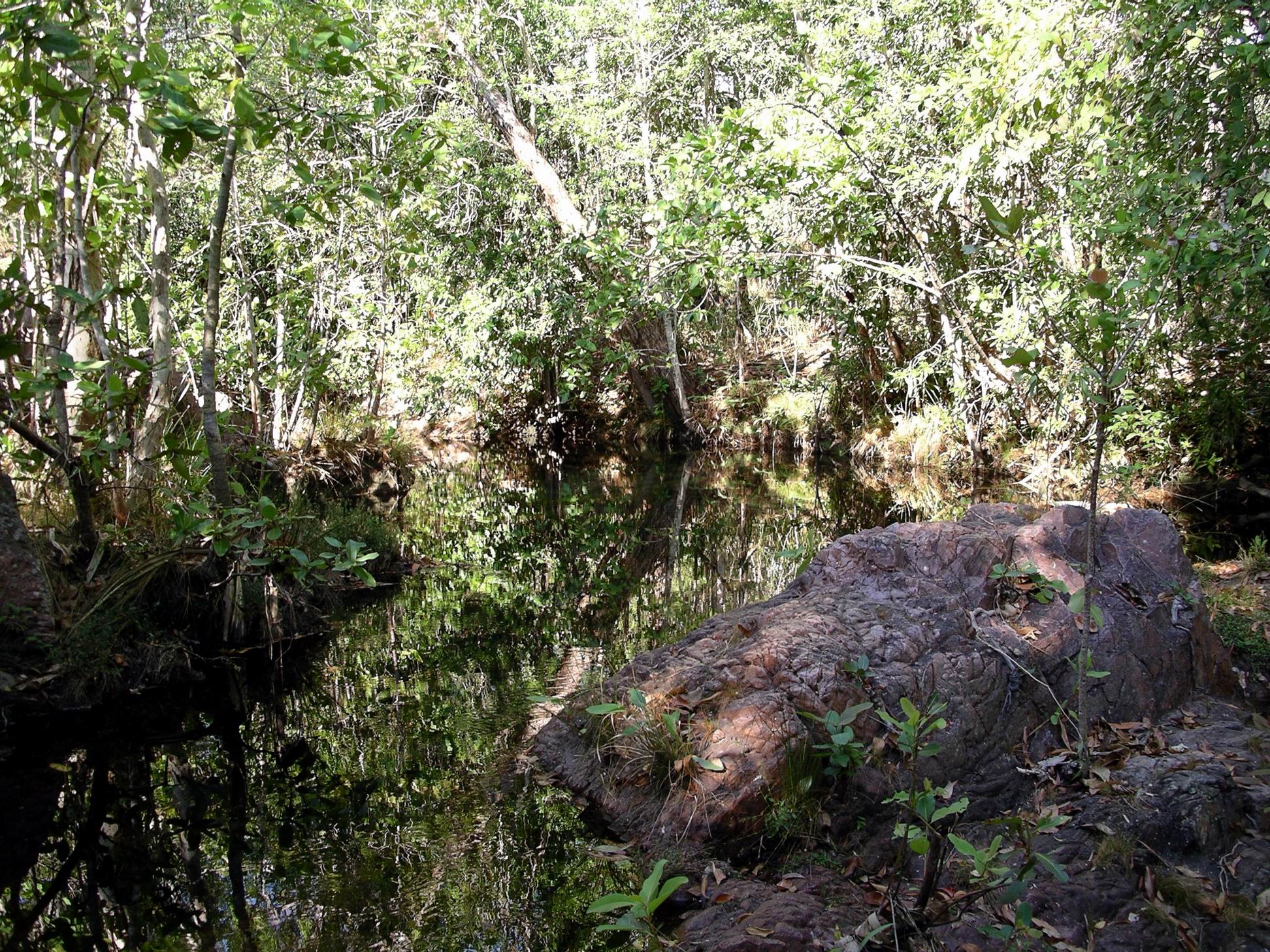 Resize of 07-18-2006 57 Walker Creek5