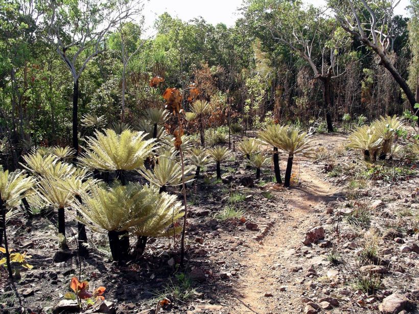 Resize of 07-18-2006 66 Walker creek track