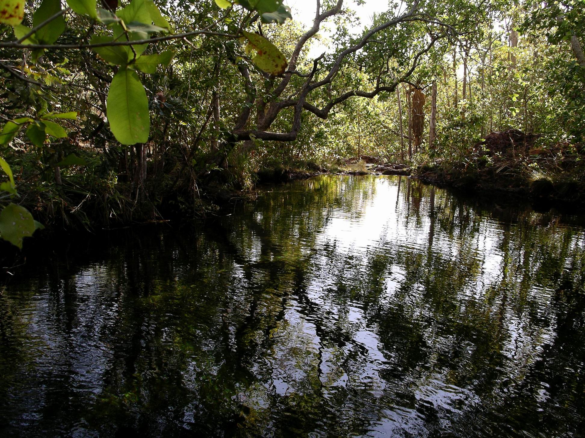 Resize of 07-18-2006 75 Walker creek 12
