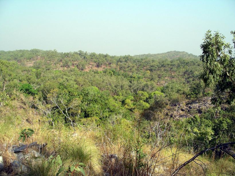Resize of 07-19-2006 01 Greenant Creek valley