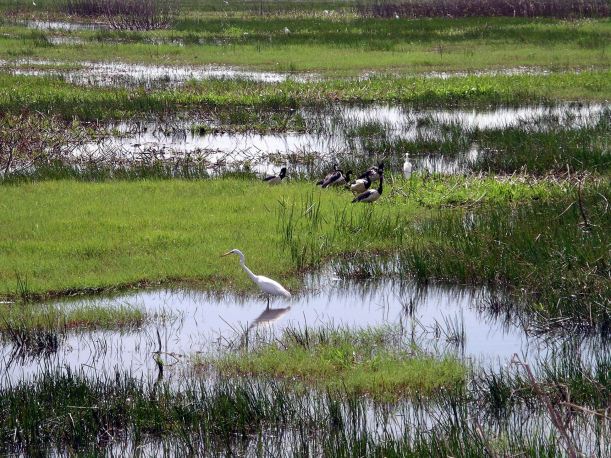 Resize of 08-14-2006 08 Fogg dam8