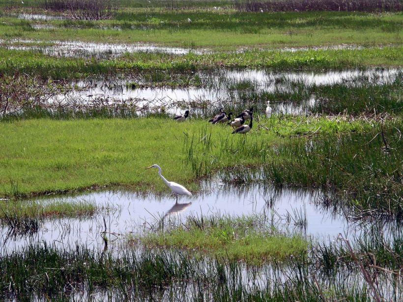 Resize of 08-14-2006 08 Fogg dam8