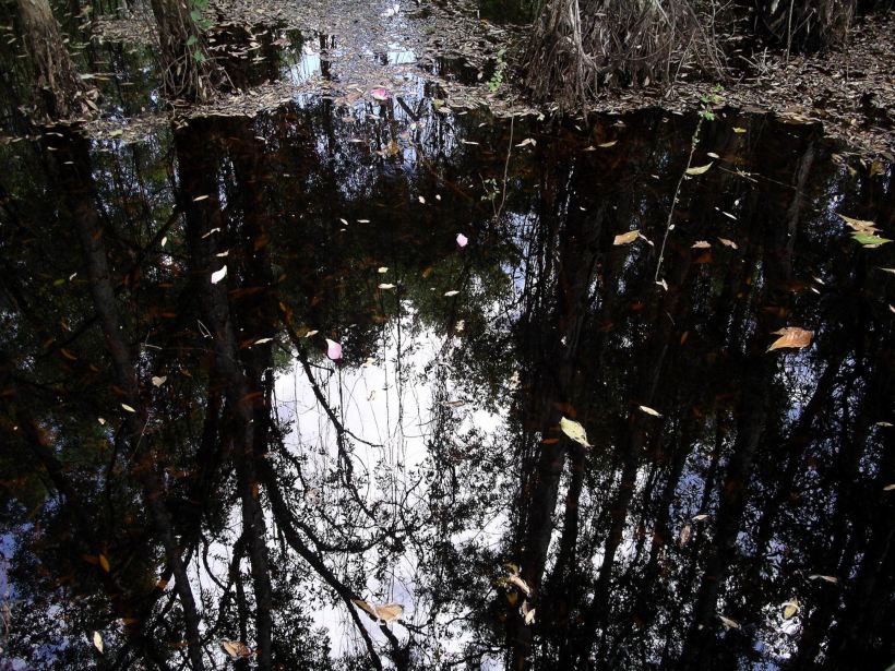 Resize of 08-14-2006 13 Reflections