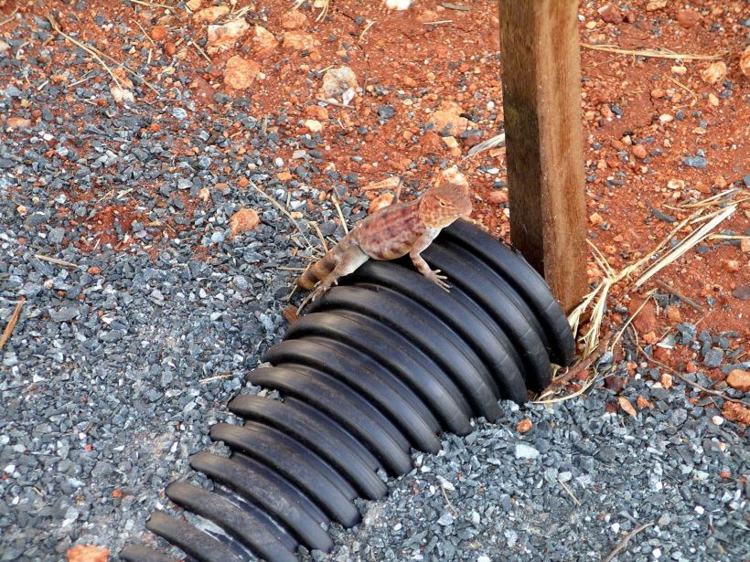 Resize of 09-16-2006 Monitor Fly Camp