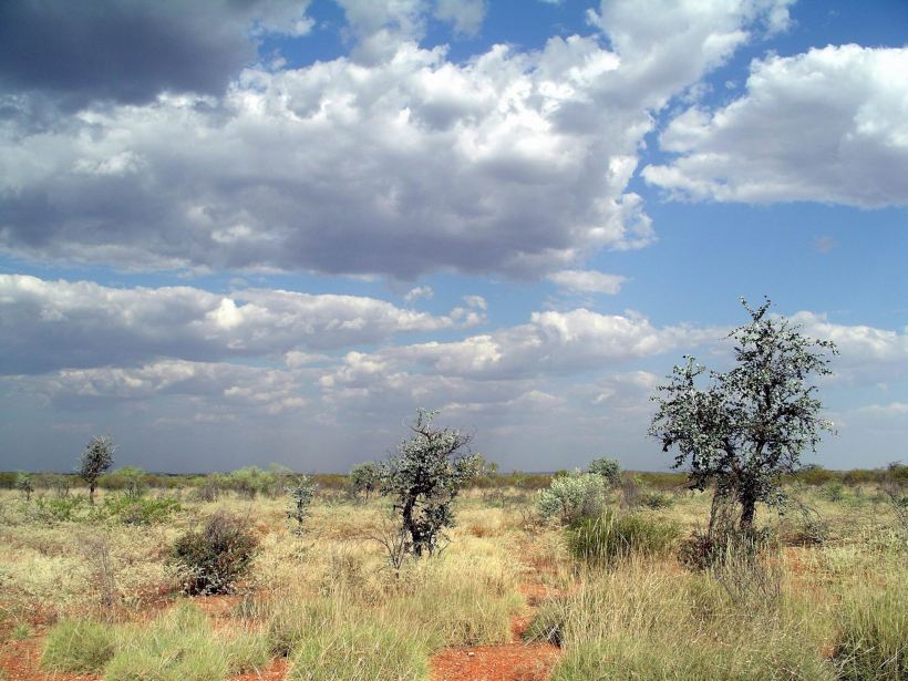 Resize of 10-08-2006 01 Fly camp scene