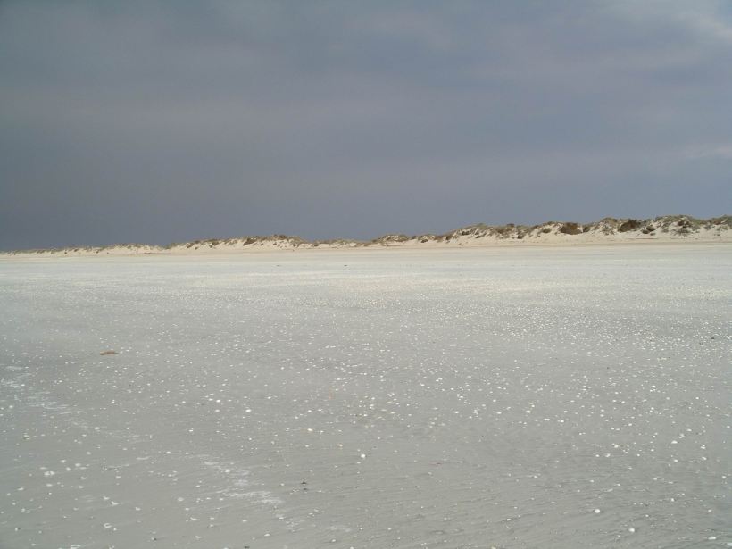 Resize of 10-15-2006 80 Mile Bch Oct 14