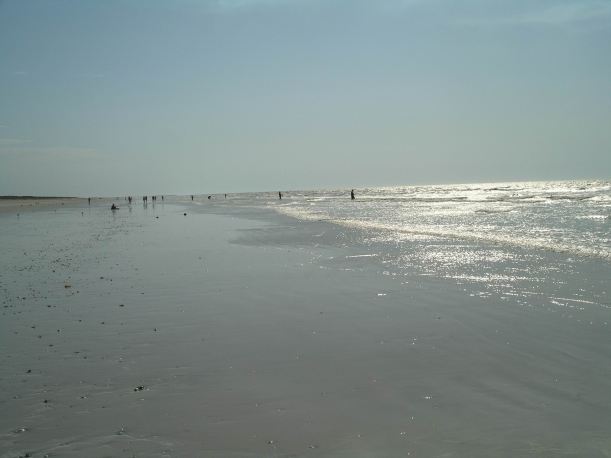 Resize of 10-15-2006 80 Mile Bch Oct 3