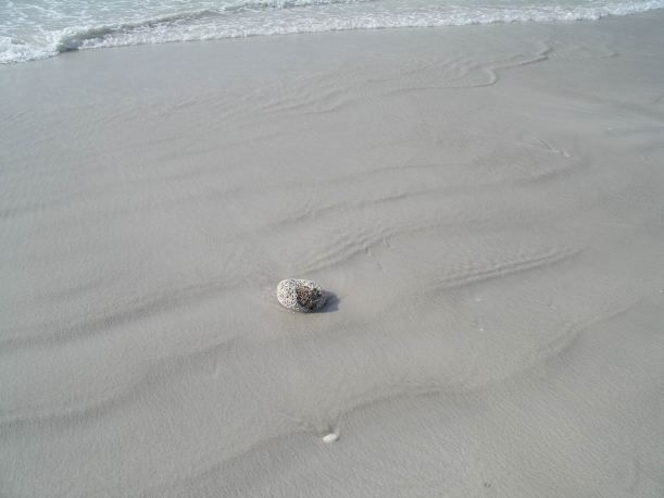 Resize of 10-15-2006 80 Mile Bch Oct 7