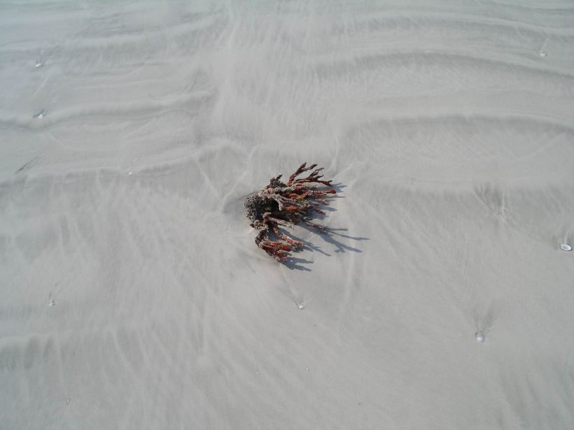 Resize of 10-15-2006 80 Mile Bch Oct 9