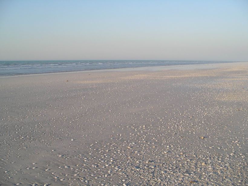 Resize of 10-15-2006 80 Mile Beach Sept 4