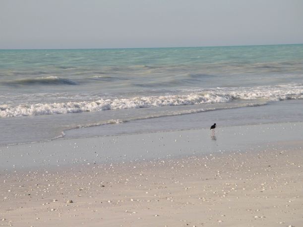 Resize of 10-15-2006 80 Mile Beach Sept2